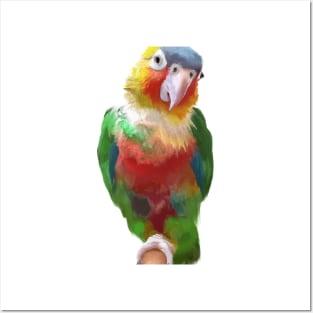 Cute Parrot Drawing Posters and Art